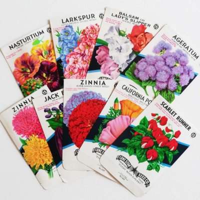 画像1: flower seed packet （１枚）