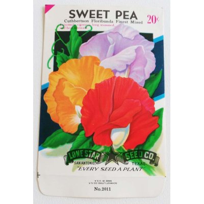 画像2: flower seed packet （１枚）