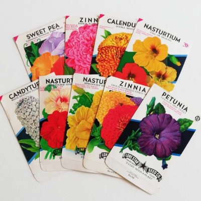 画像1: flower seed packet （１枚）