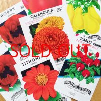 flower & Vegetables seed packet （１枚）