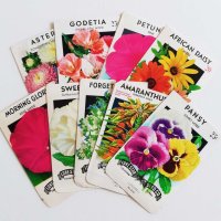 flower seed packet （１枚）