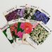 画像1: flower seed packet （１枚） (1)