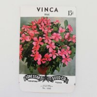 flower seed packet【VINCA】（1960年代／アメリカ）