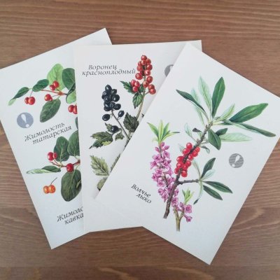 画像1: 植物のカード（ソビエト／1991年） No.03