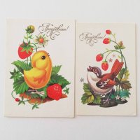 Vintageカード【小鳥といちご】（ソビエト／1980〜90年代）