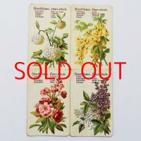フランスのアンティーク・ゲームカード （低木の花）※全4種類