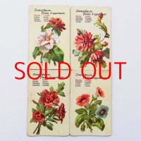 フランスのアンティーク・ゲームカード （観葉植物の花）※全4種類