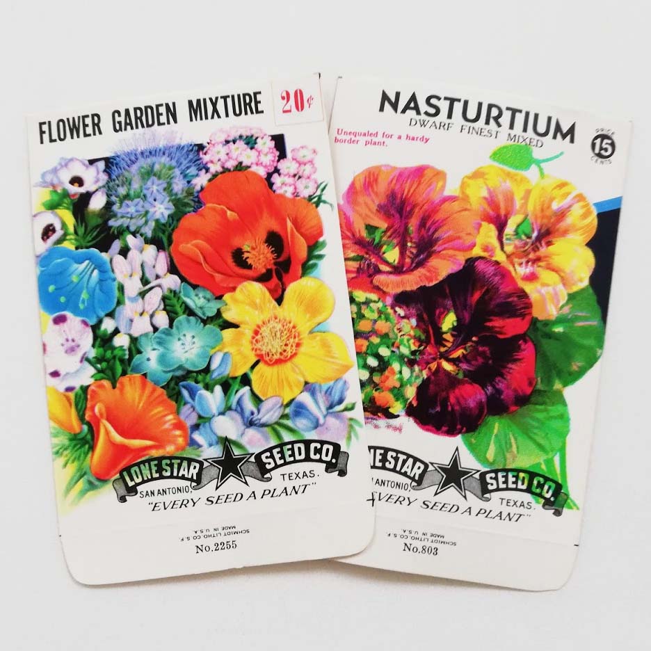 flower seed packet （１枚）